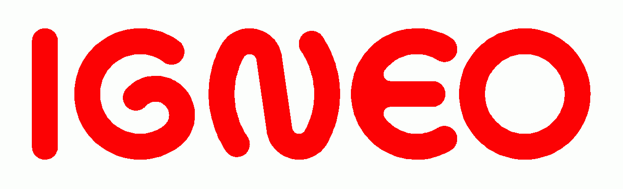 Logo IGNEO